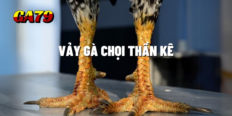 vay ga choi than ke ga79